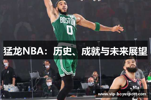 猛龙NBA：历史、成就与未来展望